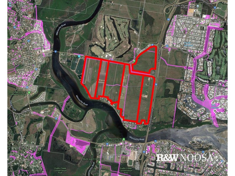 369 David Low Way, Bli Bli QLD 4560