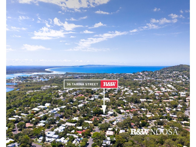 36 Tarina Street, Noosa Heads QLD 4567