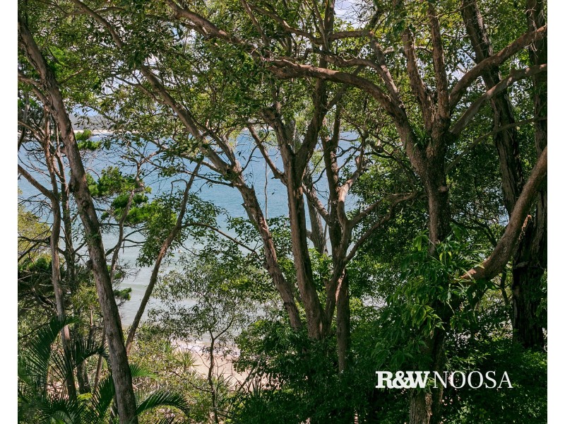 Apt 8/2 Pandanus Street, Noosa Heads QLD 4567