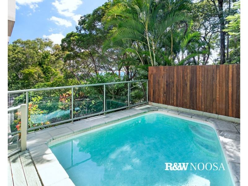 Apt 8/2 Pandanus Street, Noosa Heads QLD 4567