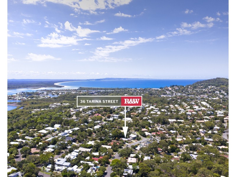 36 Tarina Street, Noosa Heads QLD 4567