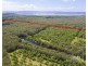 210 Cootharaba Downs Road, Cootharaba QLD 4565