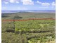 210 Cootharaba Downs Road, Cootharaba QLD 4565