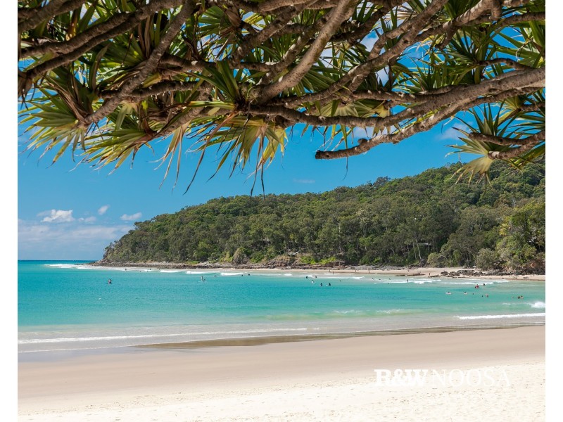 301/71 Hastings Street, Noosa Heads QLD 4567