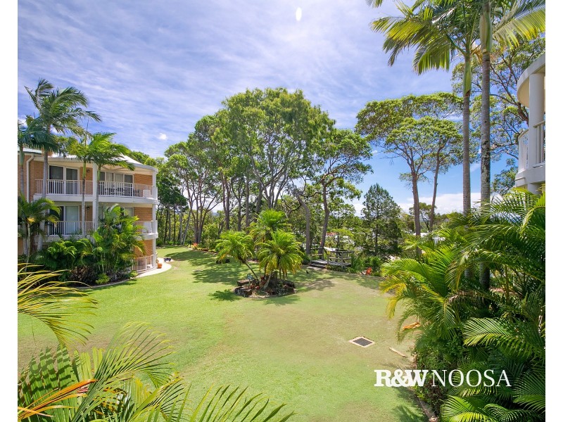 9/53 Banksia Avenue North, Noosa Heads QLD 4567