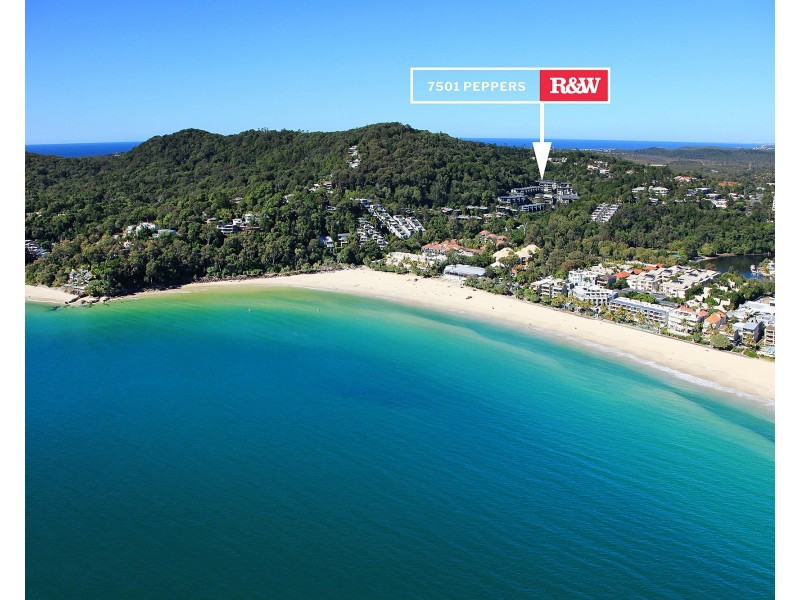 7501/5 Morwong Drive, Noosa Heads QLD 4567