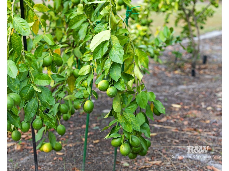 64 Devonstone Drive, Cooroibah QLD 4565