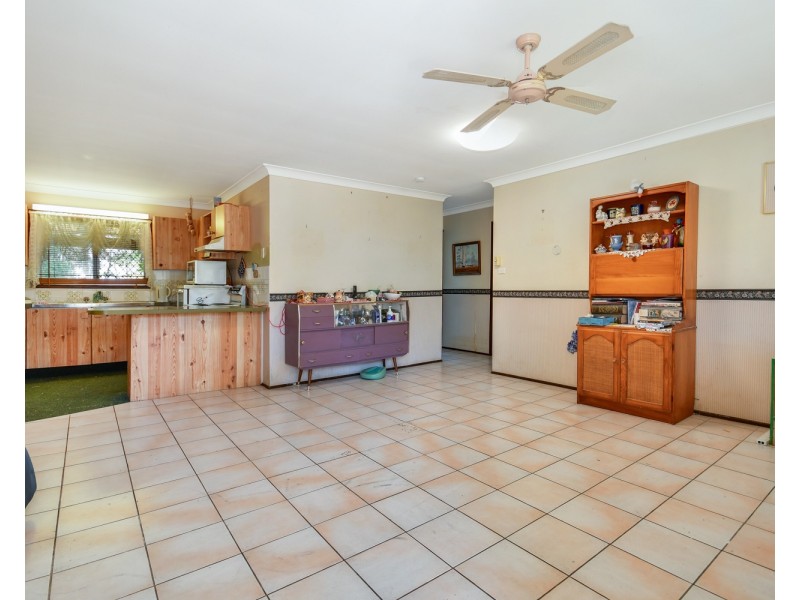 25 Osprey Street, Caloundra QLD 4551