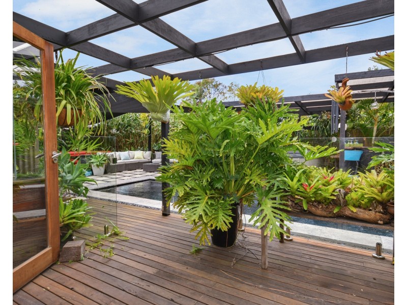 57 Pimpala Street, Wurtulla QLD 4575
