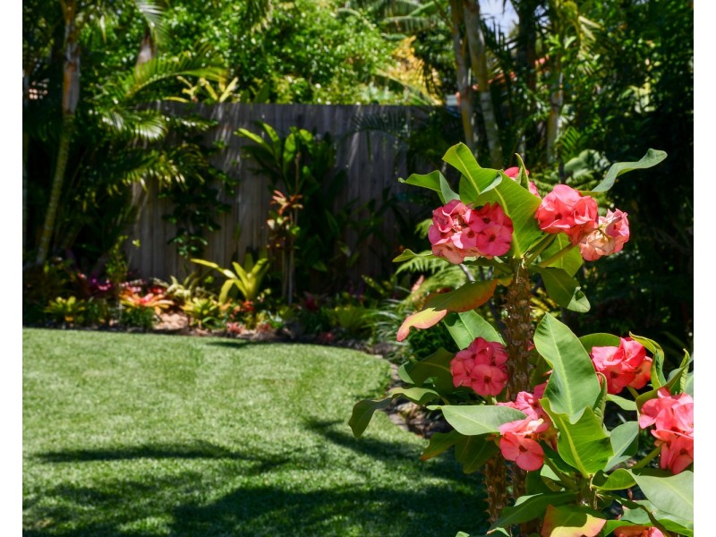 4  Tibouchina Place, Currimundi QLD 4551