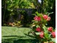 4  Tibouchina Place, Currimundi QLD 4551