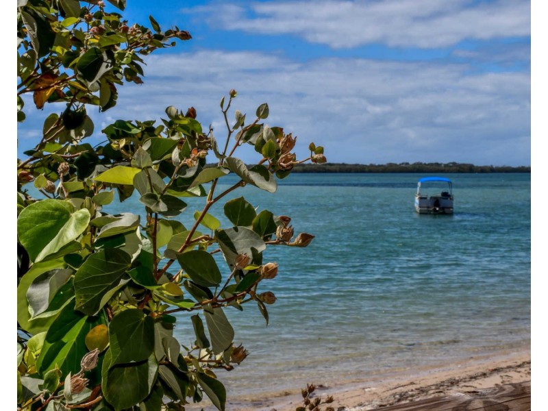 71 Anning Avenue, Golden Beach QLD 4551