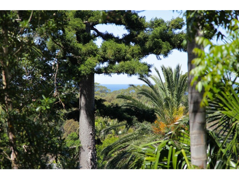 41 Asquith Street, Austinmer NSW 2515