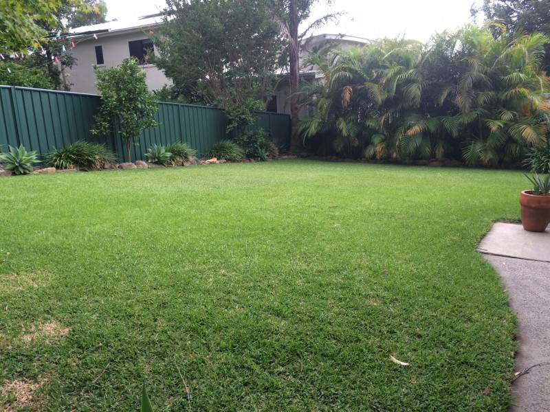 11 Coast Road, Thirroul NSW 2515