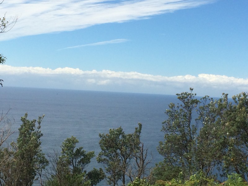 16 Lady Wakehurst Drive, Otford NSW 2508