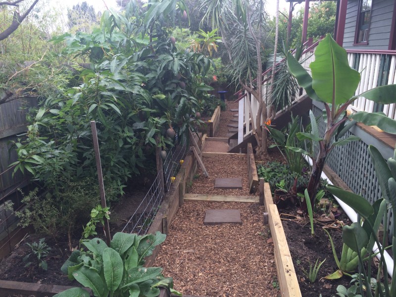 2a Seaview Terrace, Thirroul NSW 2515