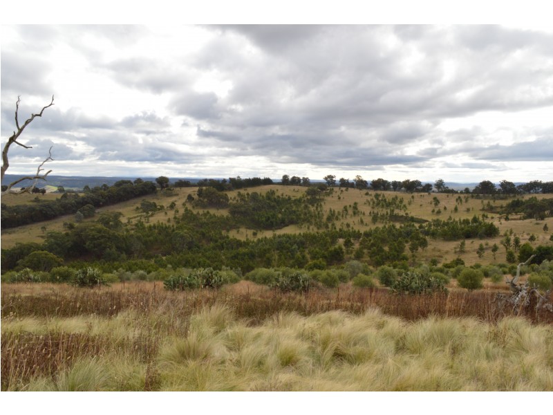 Lot 31, 514 Red Hills Road, Marulan NSW 2579