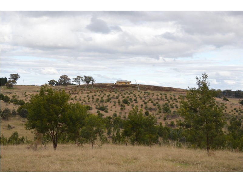 Lot 31, 514 Red Hills Road, Marulan NSW 2579