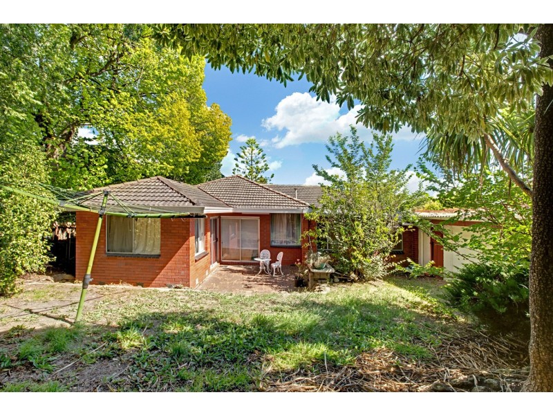 7 Kneale Drive, Box Hill North VIC 3129