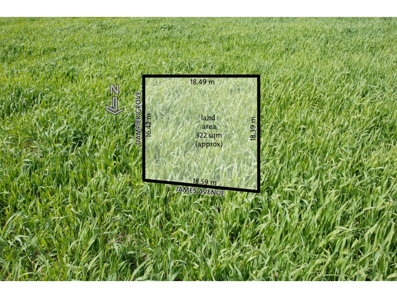 24 James Avenue, Mitcham VIC 3132