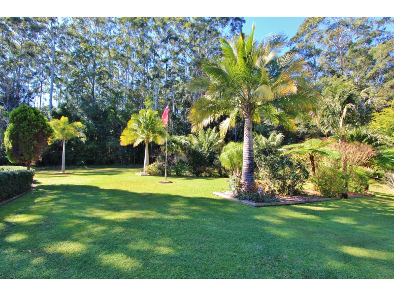 38 Brotherglen Drive, Kew NSW 2439