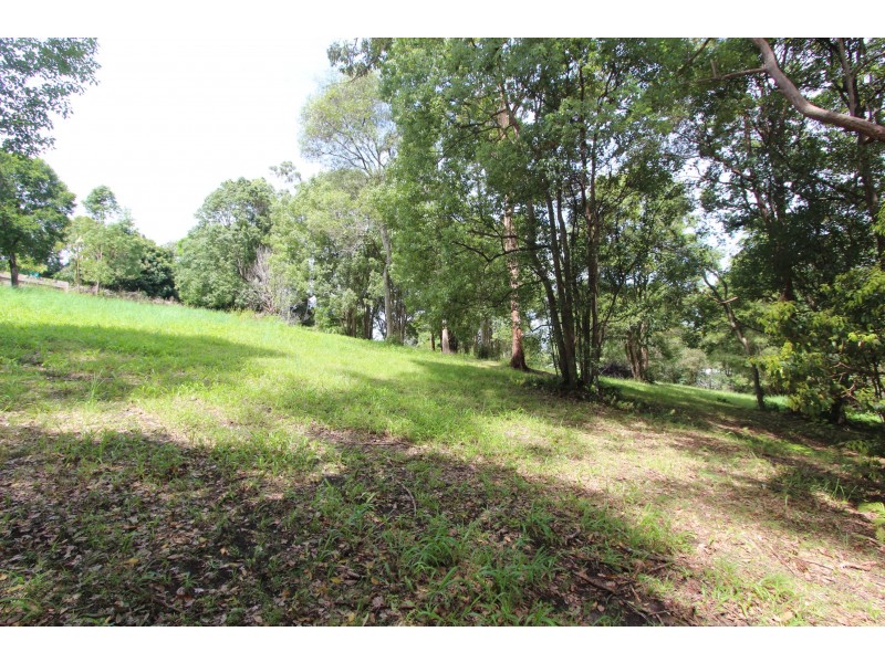 Kendall NSW 2439