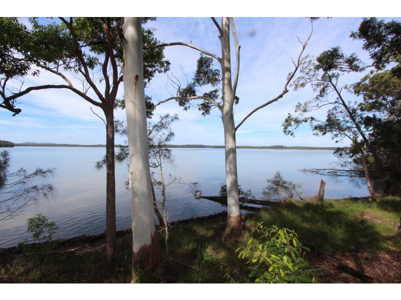 Middle Brother NSW 2443