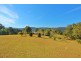 Lorne NSW 2439