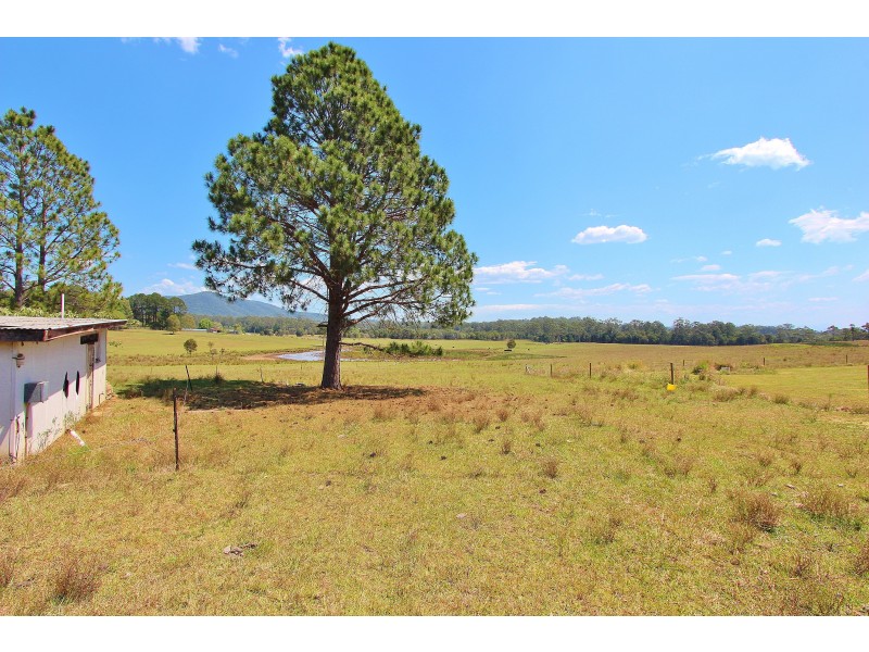 King Creek NSW 2446