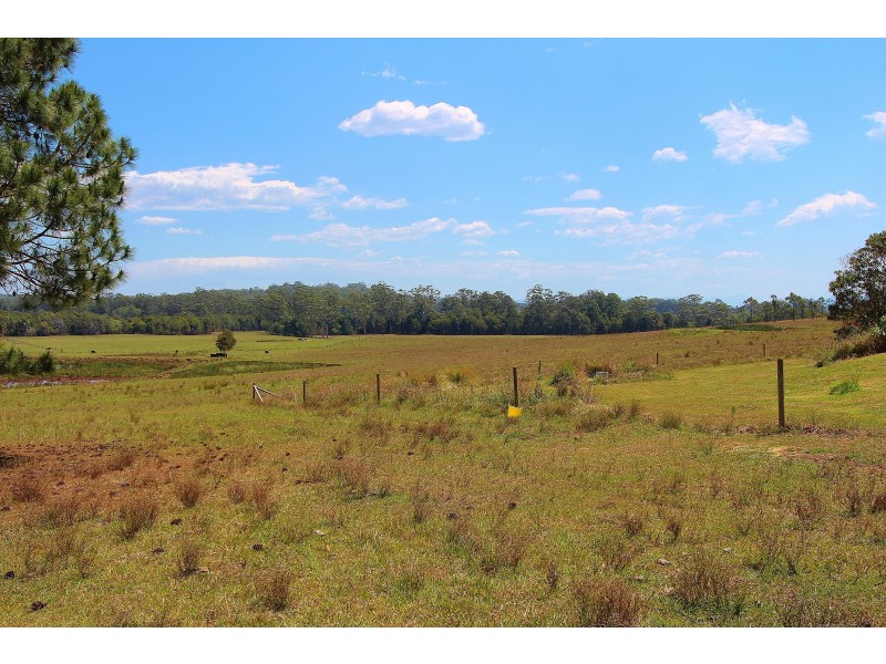 King Creek NSW 2446