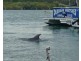 Dunbogan NSW 2443