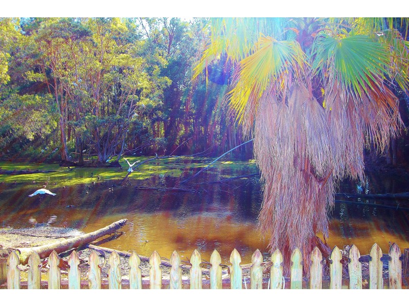 Laurieton NSW 2443