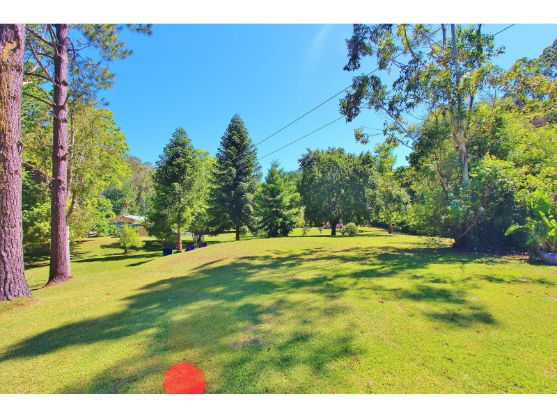 Kendall NSW 2439