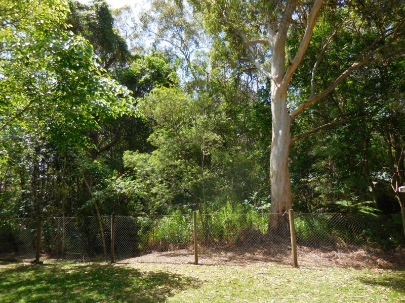 Bonny Hills NSW 2445