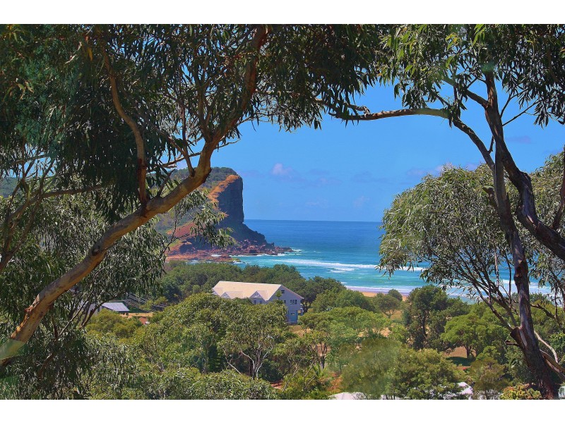 11 Pindari Drive, Dunbogan NSW 2443