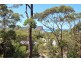 11 Pindari Drive, Dunbogan NSW 2443