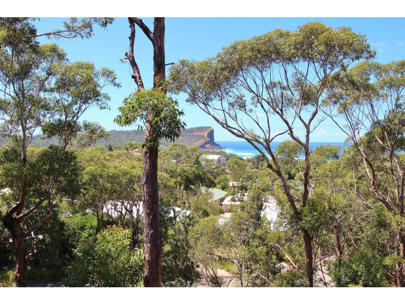 11 Pindari Drive, Dunbogan NSW 2443