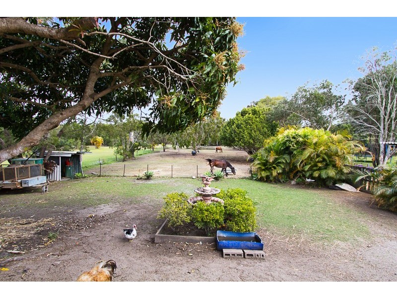 21 Daffodil Street, Tallebudgera QLD 4228
