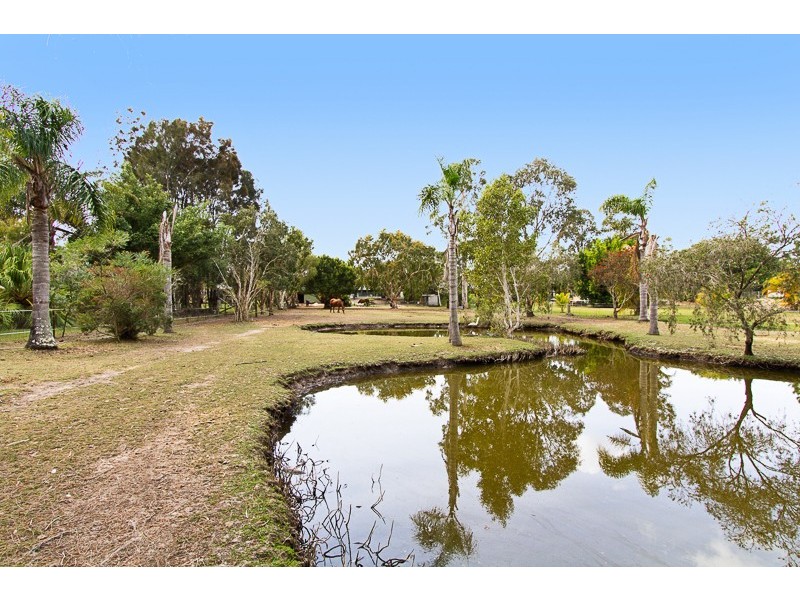 21 Daffodil Street, Tallebudgera QLD 4228