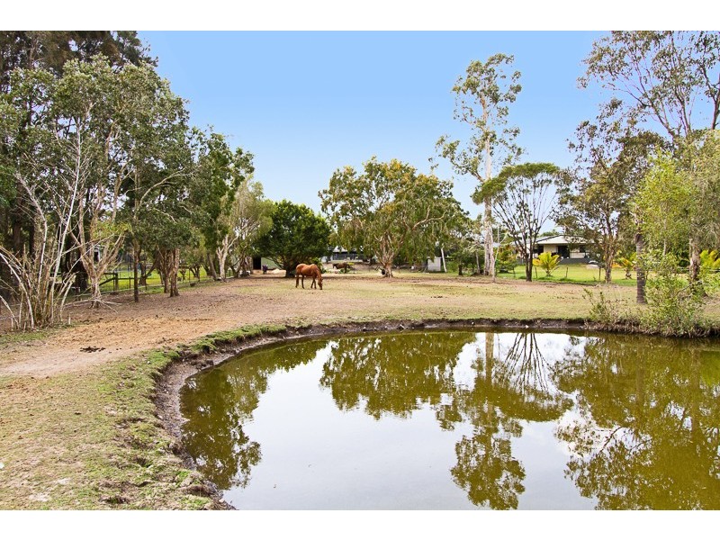 21 Daffodil Street, Tallebudgera QLD 4228