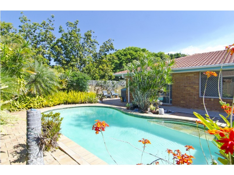 26 Wedgebill Parade, Burleigh Waters QLD 4220