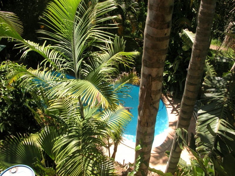 85 Toolona Street, Tugun QLD 4224