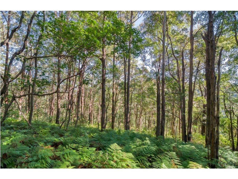 Currumbin Valley QLD 4223