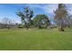 7 Daffodil Street, Tallebudgera QLD 4228