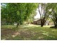 55 Farnsworth Avenue, Campbelltown NSW 2560