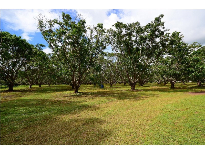 385 Whitewood Road, Howard Springs NT 0835