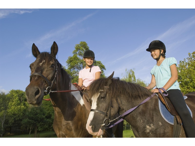 45 Farrar Road, Knuckey Lagoon NT 0828