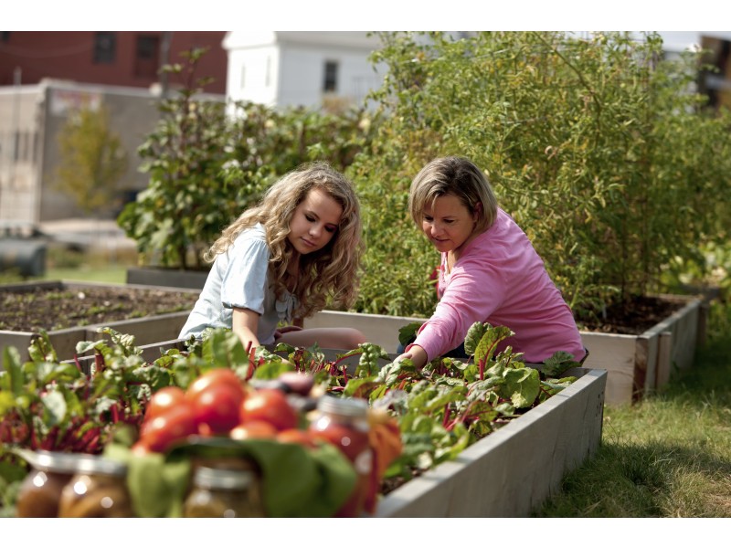 15 Newmarch Street, Muirhead NT 0810