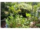 15 Wells Street, Ludmilla NT 0820