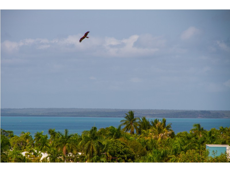 10/5 Houston Street, Larrakeyah NT 0820